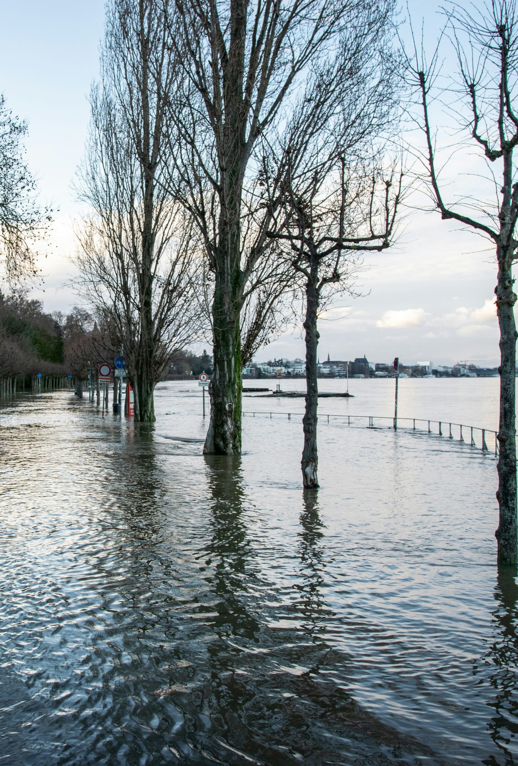 Diagnostic inondation